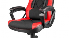 Genesis – przez wygodę do zdrowia LIFESTYLE, IT i technologie - Wygodny fotel dla graczy to fanaberia? Błąd. Spędzając dużo czasu przed komputerem łatwo zaszkodzić kręgosłupowi. Dlatego ważne, by mieć fotel, dzięki któremu nasze ciało nie będzie cierpieć katuszy przy wielogodzinnej rozgrywce. Taką ulgę może przynieść Genesis SX33.