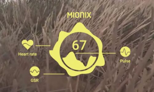 Jak mysz z sensorem *GSR obnaża emocje graczy?