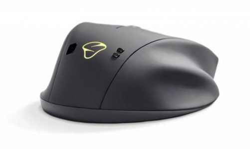 Nietypowe gryzonie – zobacz inną stronę gamingu