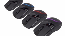 Zalman: liczy się efektywność, nie efektowność LIFESTYLE, IT i technologie - Myszki do gier oferują coraz więcej opcji, których rzeczywista przydatność budzi często wątpliwość. Tymczasem wielu użytkowników poszukuje po prostu solidnego gryzonia w przystępnej cenie. Zdaniem Zalmana taki właśnie ma być ZM-M501R.