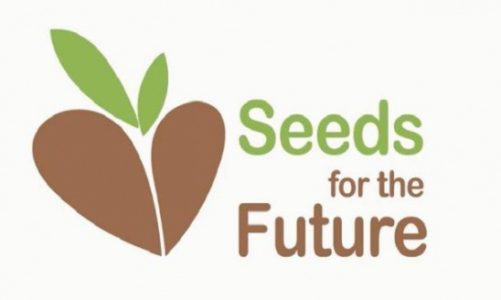 „Seeds for the Future Polska” 2018 szansą dla najzdolniejszych studentów