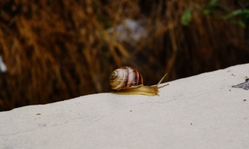 6 rzeczy, przez które twój komputer jest wolniejszy od ślimaka