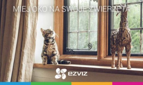 Zapewnij bezpieczeństwo swojemu futrzakowi