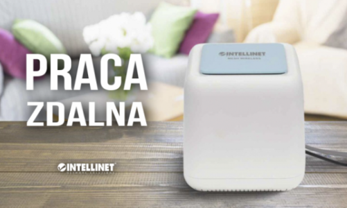 Łatwa praca zdalna z Intellinet