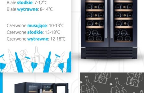 Jak przechowywać wino w domu?