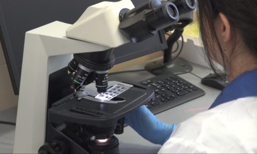 Naukowcy stworzyli rewolucyjny edytor genów. Mogą włączać i wyłączać geny w ludzkim DNA bez jego uszkodzenia [DEPESZA]