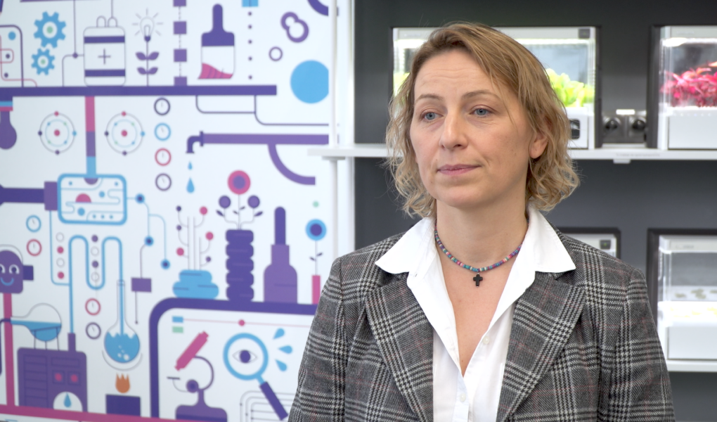 Polska nie wykorzystuje potencjału technologii chmurowej. Konieczne konkretne działania, a nie budowanie strategii