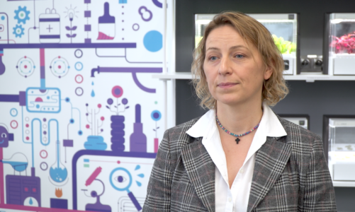 Polska nie wykorzystuje potencjału technologii chmurowej. Konieczne konkretne działania, a nie budowanie strategii